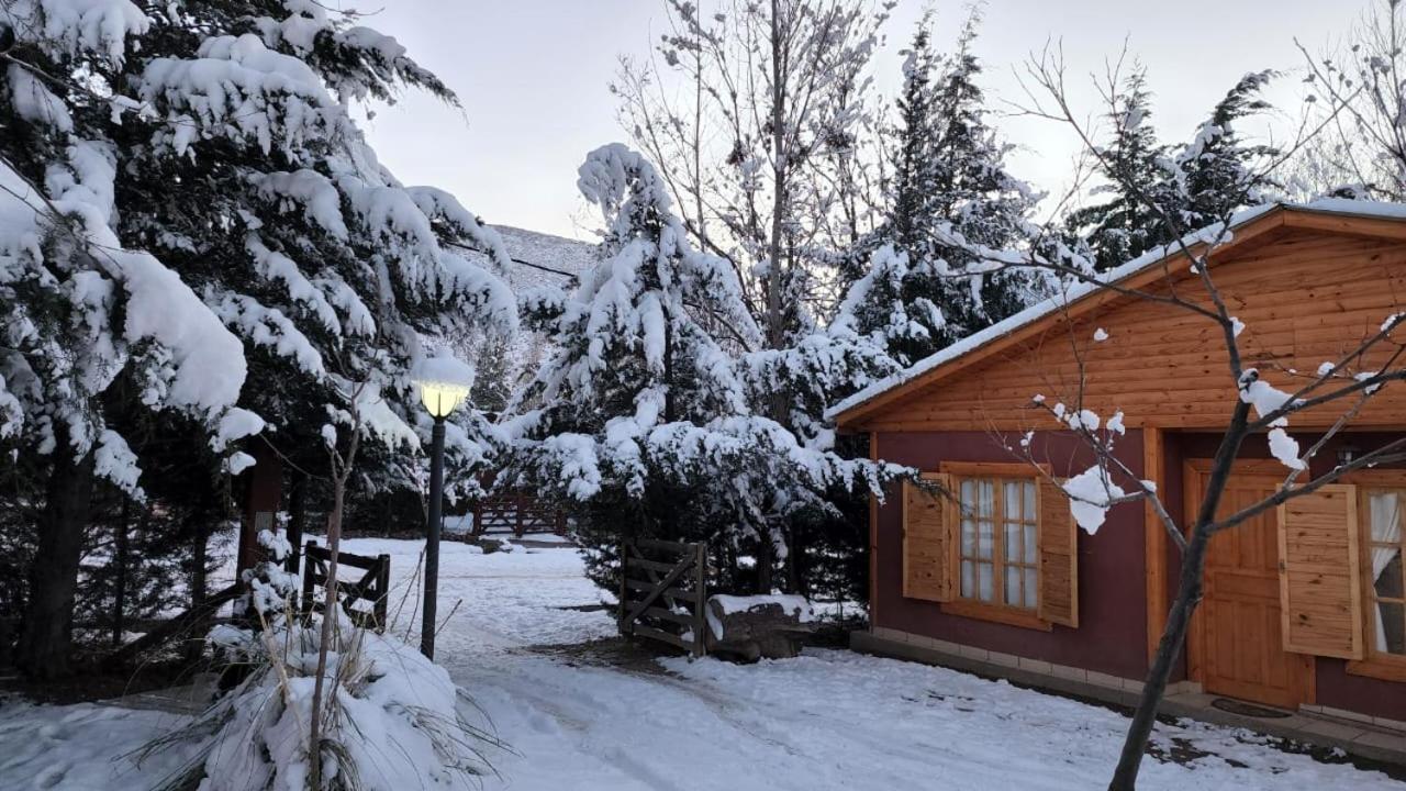 Cerro Indio Villa Потрерилос Екстериор снимка