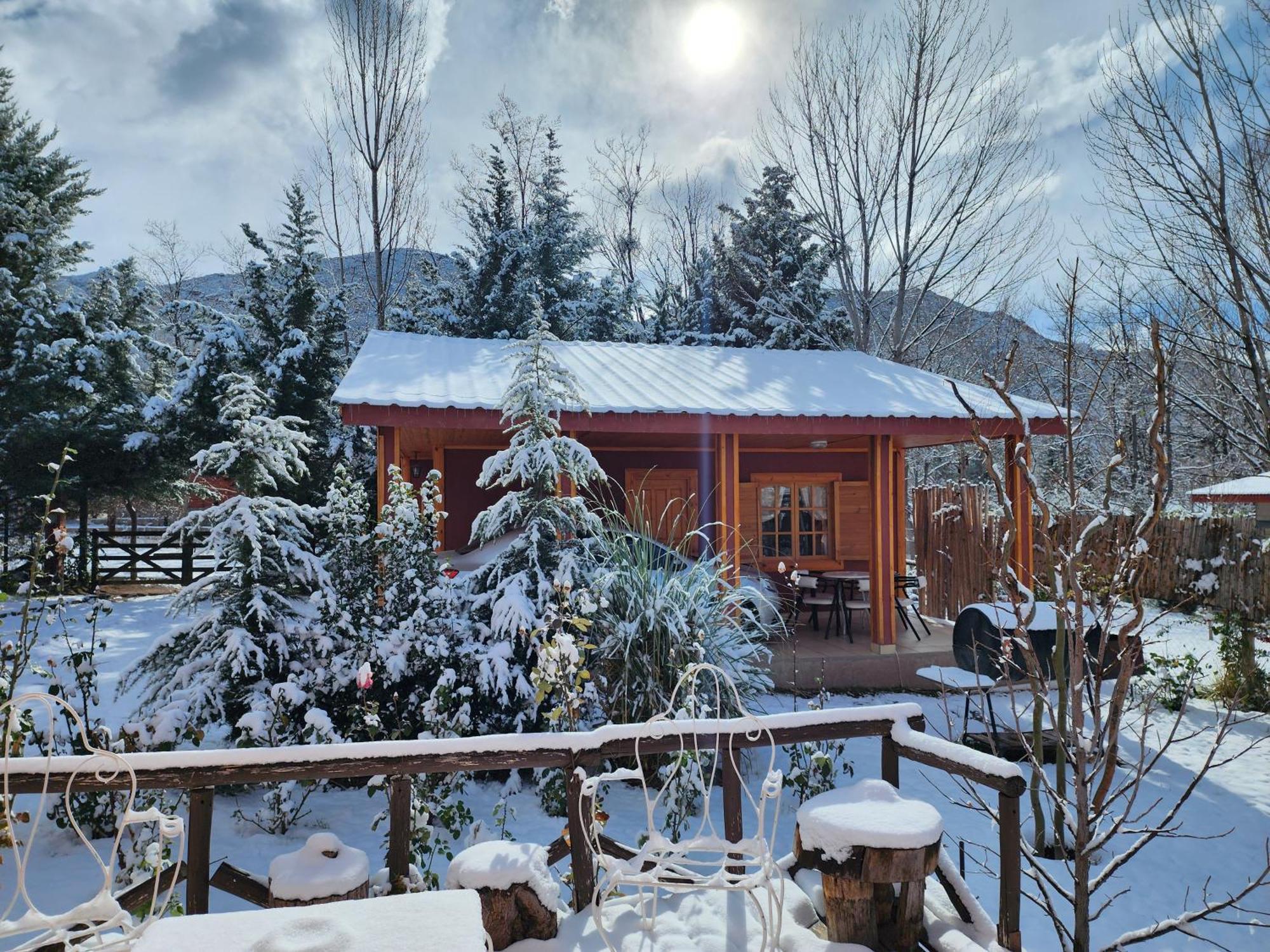 Cerro Indio Villa Потрерилос Екстериор снимка